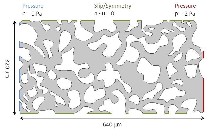利用COMSOL多物理中的蠕动流界面，建立了一个完全解析的微尺度模型。